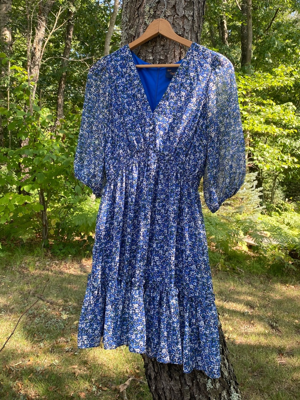 Just…Taylor Blue Floral Ruffled V-Neck Women's Dress